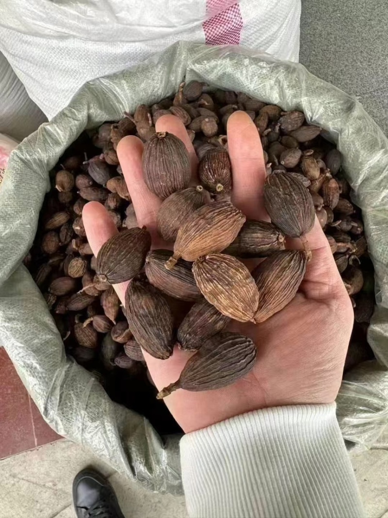 干草果
