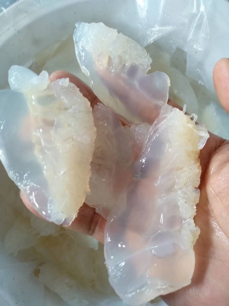 海蜇丝海蜇头全规格齐全货源充足欢迎联系
