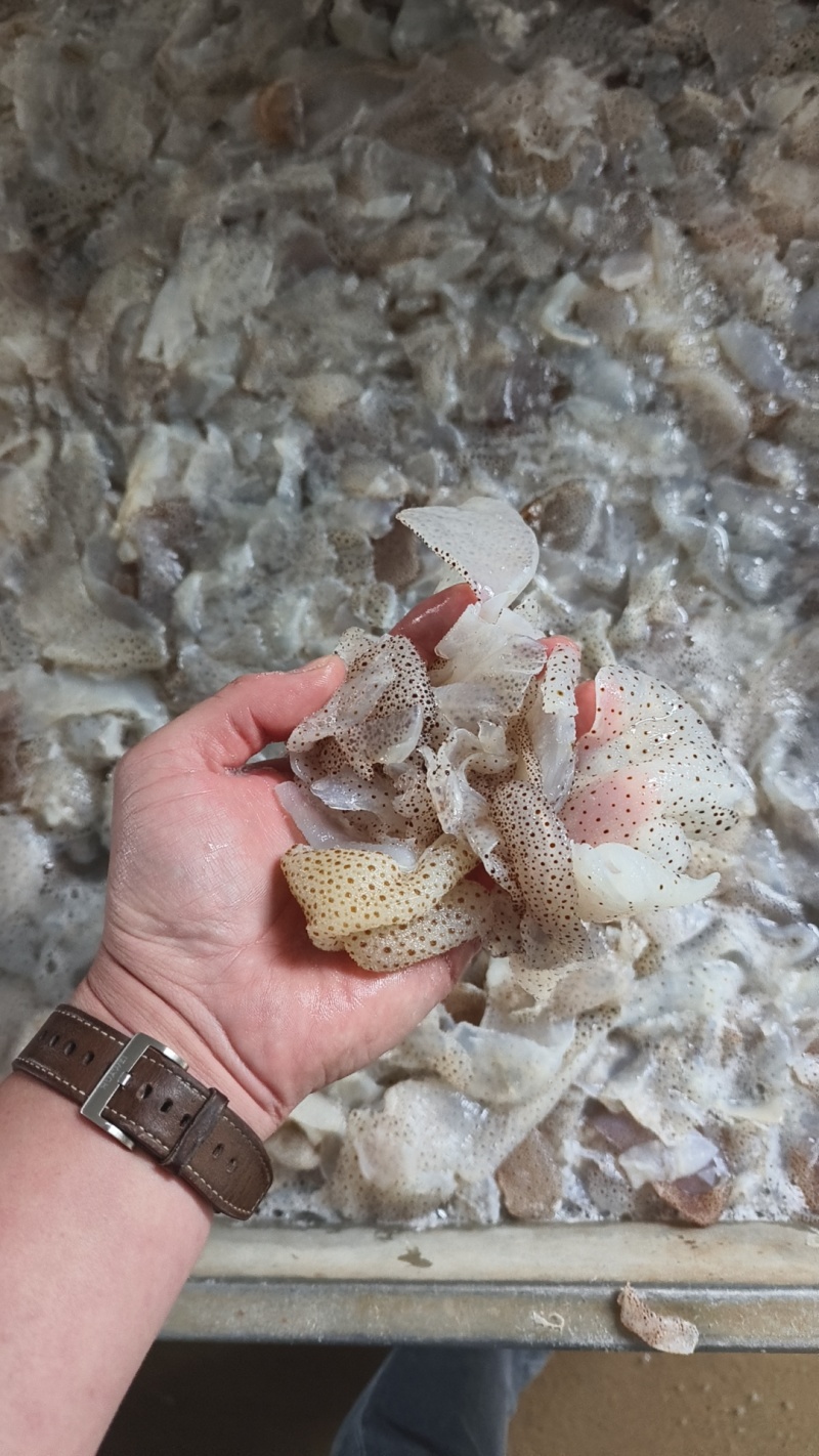 海蜇丝海蜇头全规格齐全货源充足欢迎联系