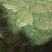 【精品】活牛蛙货源充足质量保证价格美丽