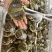 大闸蟹蟹肉饱满肥厚自己吃送人实惠量大优惠关系下单
