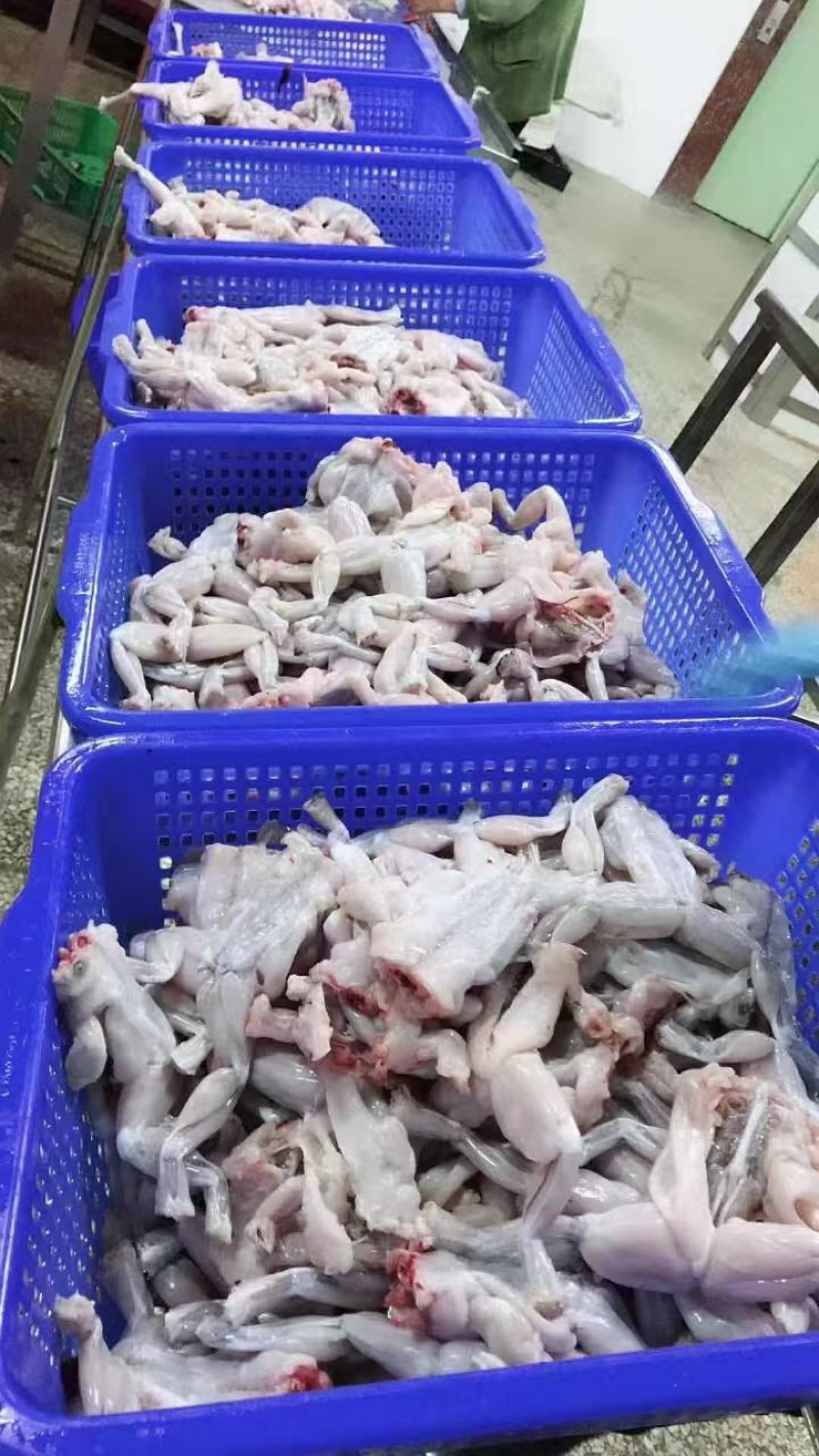 广东汕头优质牛蛙肉直供真空包装欢迎来电洽谈