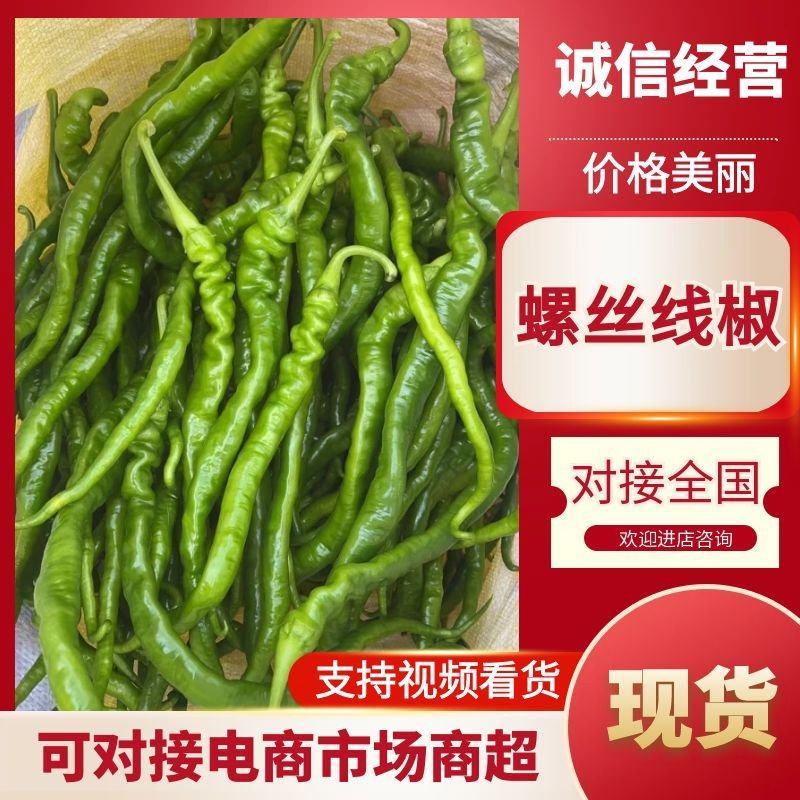 徐闻螺丝线椒，全国发货，保质保量，量大从优，欢迎选购