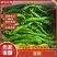 【陇椒】广东鲜辣椒大量上货，品种齐全，量大从优，诚信经营