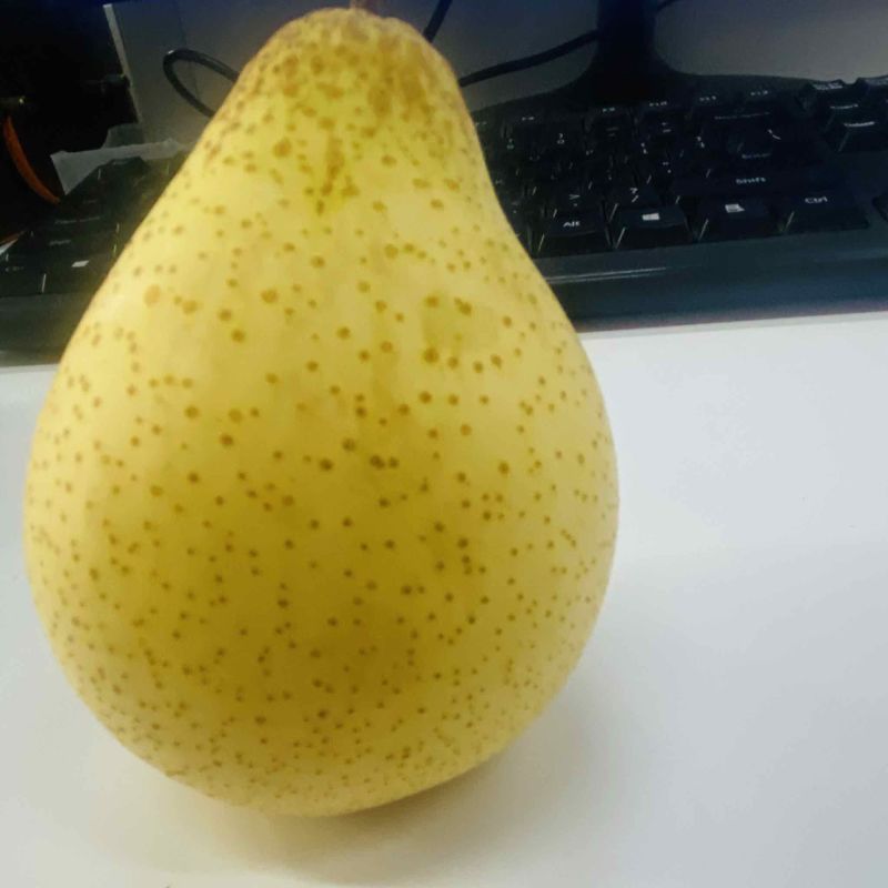 鸭梨