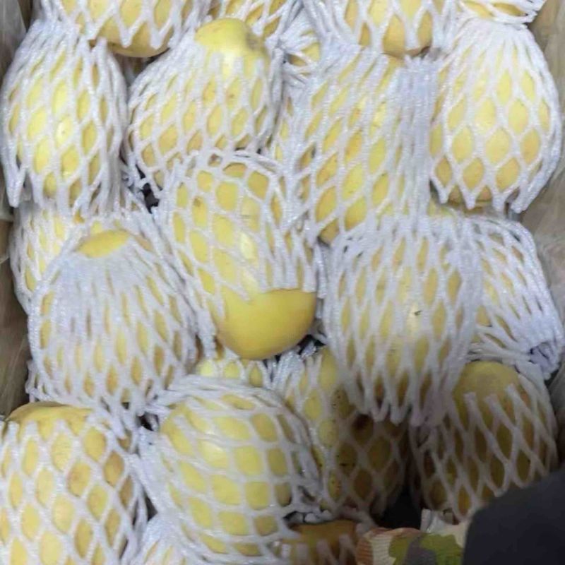【优选】内蒙古精品黄心土豆货源充足量大从优欢迎选购