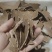 花生饼养殖肥料钓鱼打窝花生麸质量保证