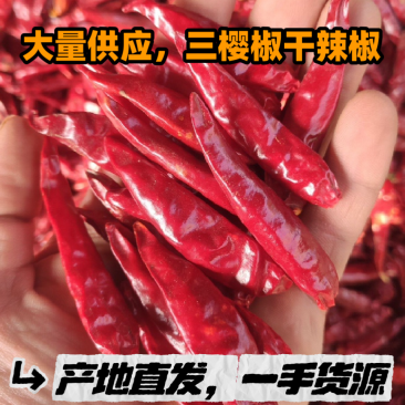 大量供应精品干辣椒，三樱椒，干度好，价格非常合理，诚信