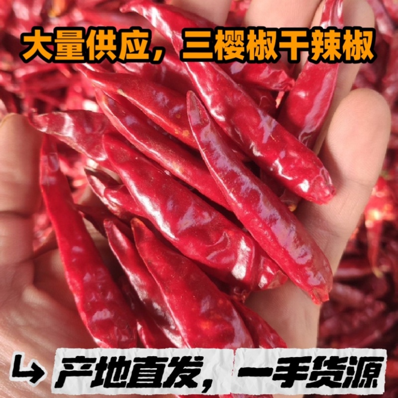 大量供应精品干辣椒，三樱椒，干度好，价格非常合理，诚信