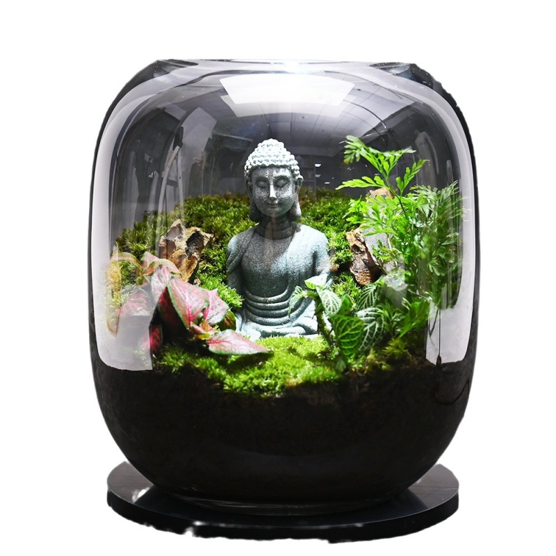 桌面生态微景观，生态瓶，玻璃花房微景观