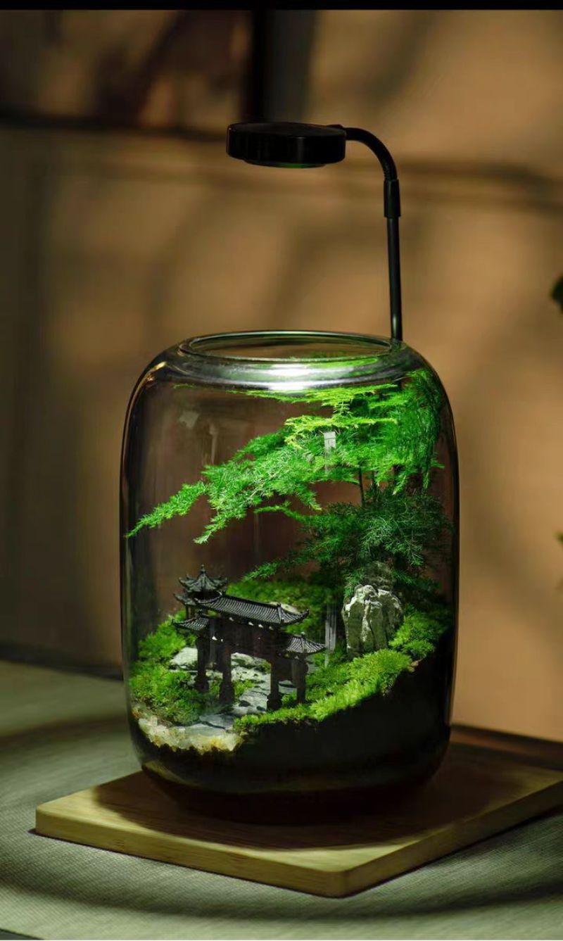 桌面生态微景观，生态瓶，玻璃花房微景观