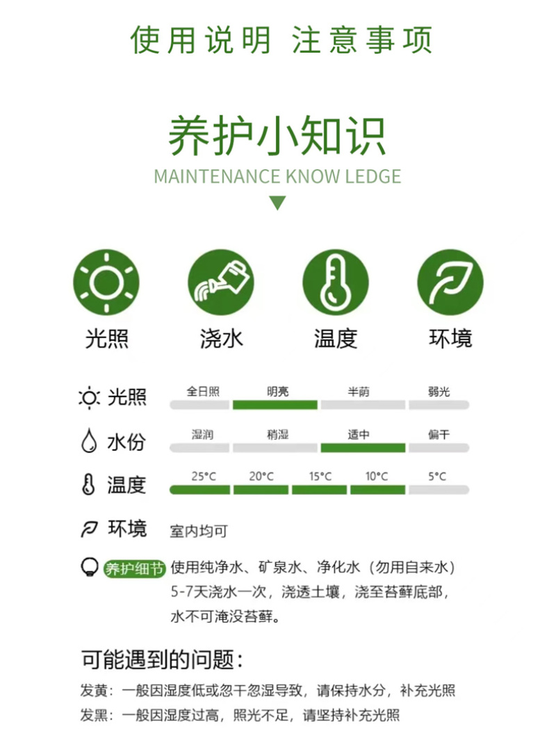 桌面生态微景观，生态瓶，玻璃花房微景观