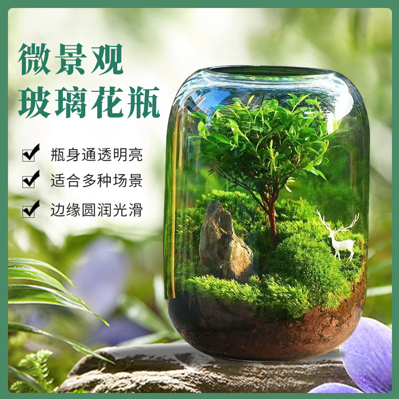桌面生态微景观，生态瓶，玻璃花房微景观