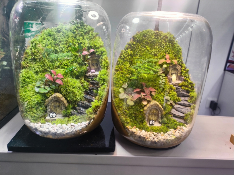 桌面生态微景观，生态瓶，玻璃花房微景观