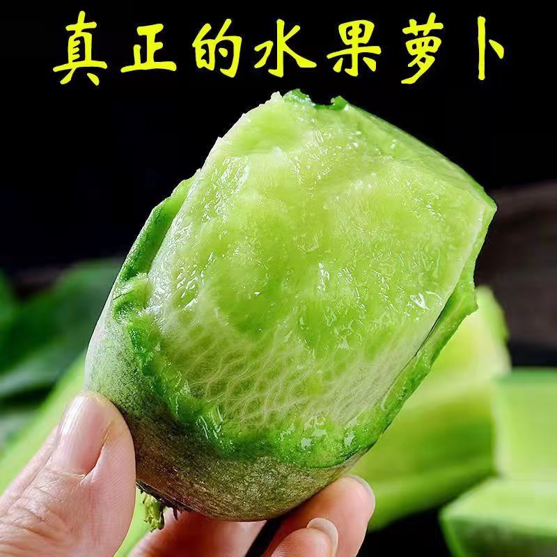 天津正宗沙窝水果萝卜沙窝村