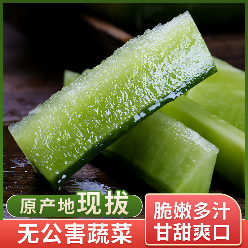 天津正宗沙窝水果萝卜沙窝村