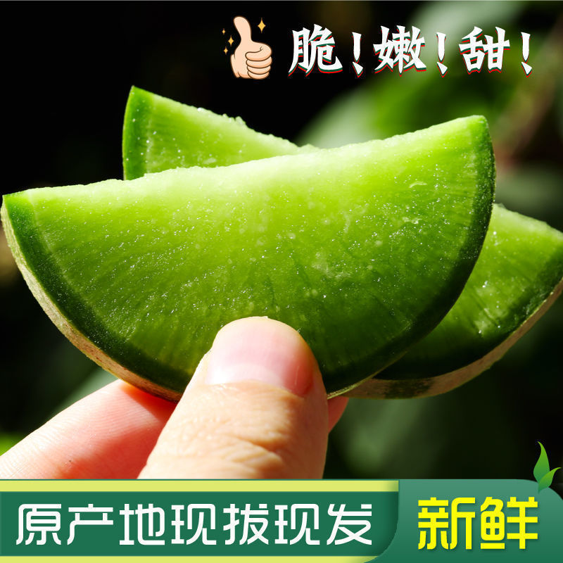 天津正宗沙窝水果萝卜沙窝村