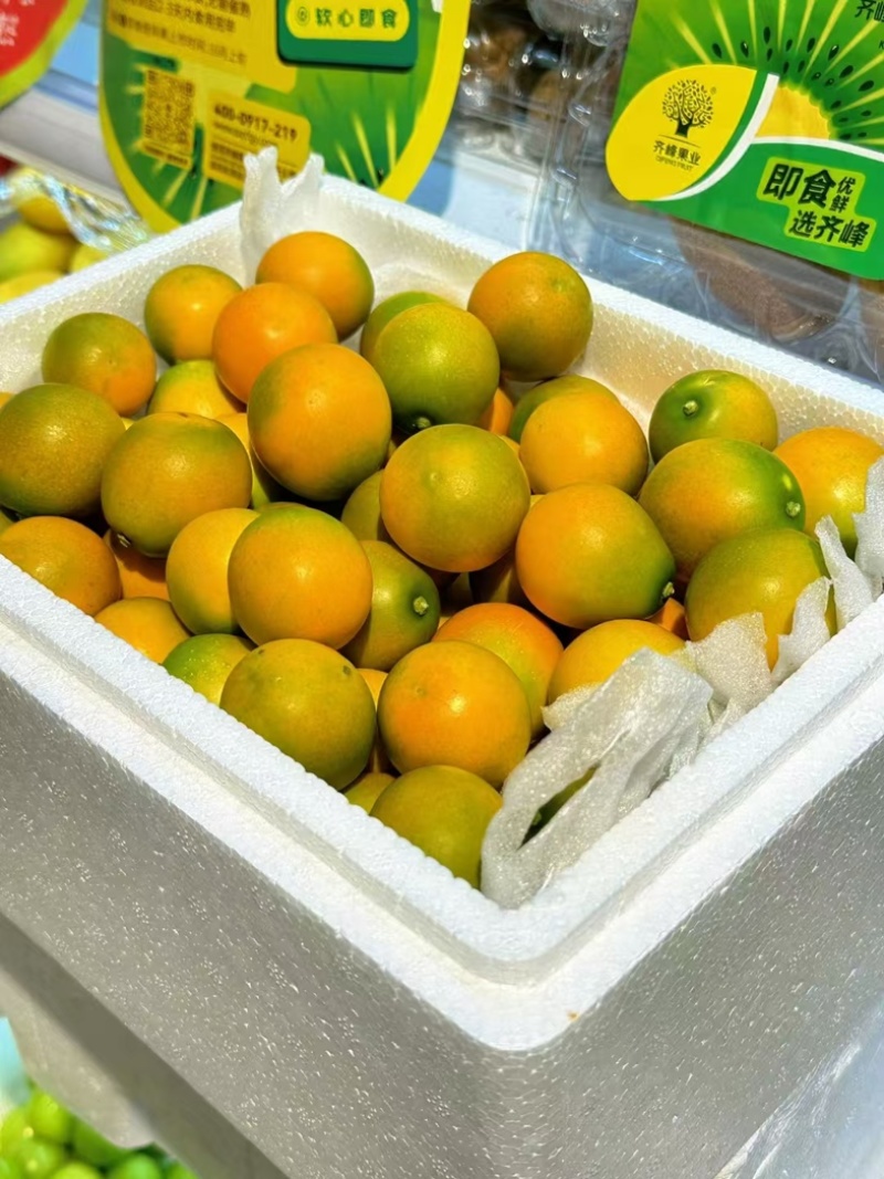 大凉山脆蜜金桔，纯甜口感，金桔，大量供应，