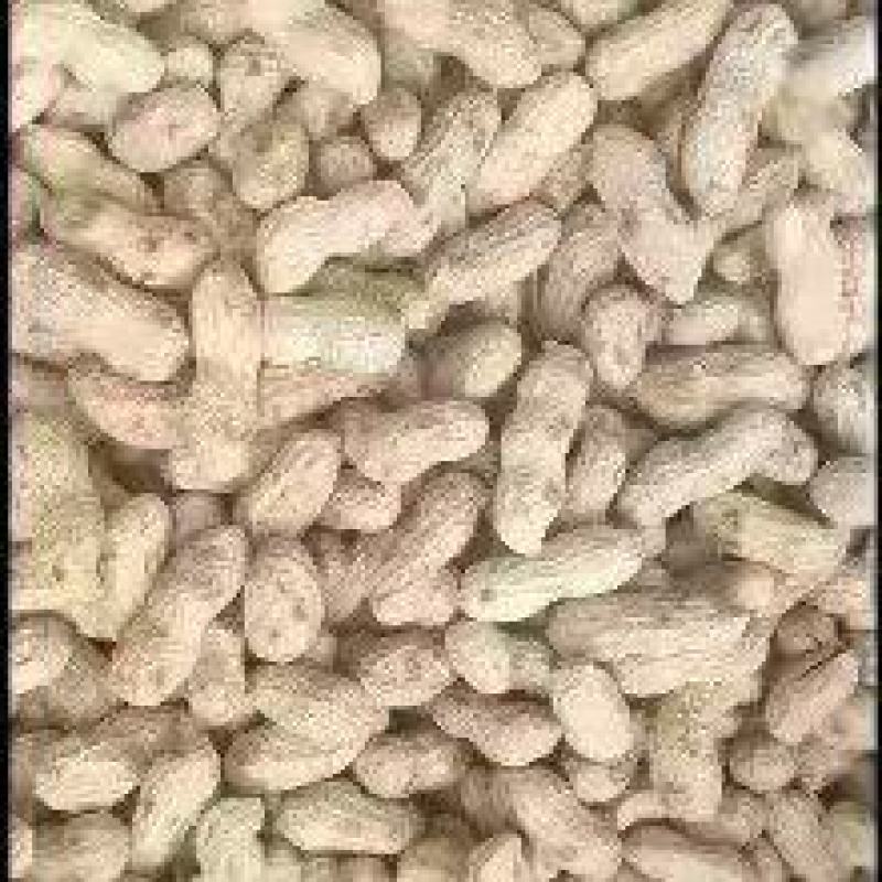 农村自己炒熟原味花生，全国大量发货，