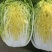 黄心大白菜/质量保证/产区直发/大量有货/货源充足