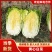 甄选黄心菜优质白菜产地直发大量从