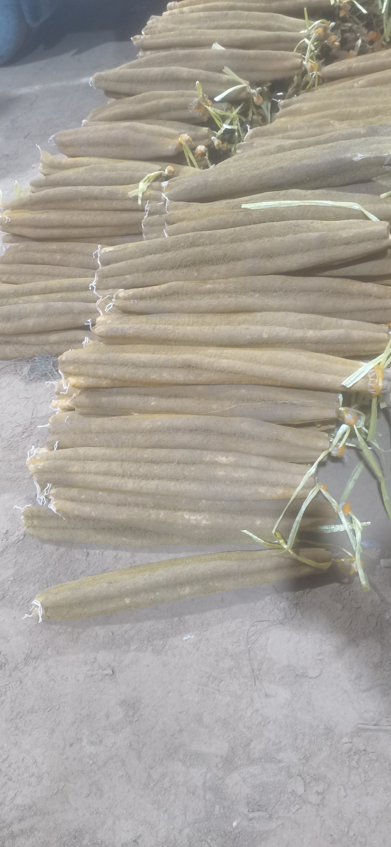 河北小白嘴山药供应全国