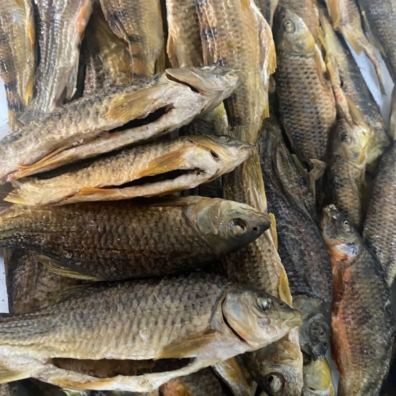 石斑鱼干，人工处理，风味十足，批发联系我，可常年供货