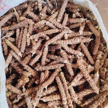 高品质夏枯草，确山夏枯草种植基地，全球，干燥，无碎夏枯球