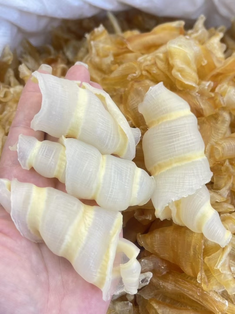 凤尾胶花胶鱼胶红鱼胶0腥味滋补品海产干货批发