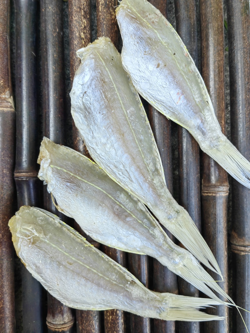 金丝红杉鱼金线红杉咸鱼干