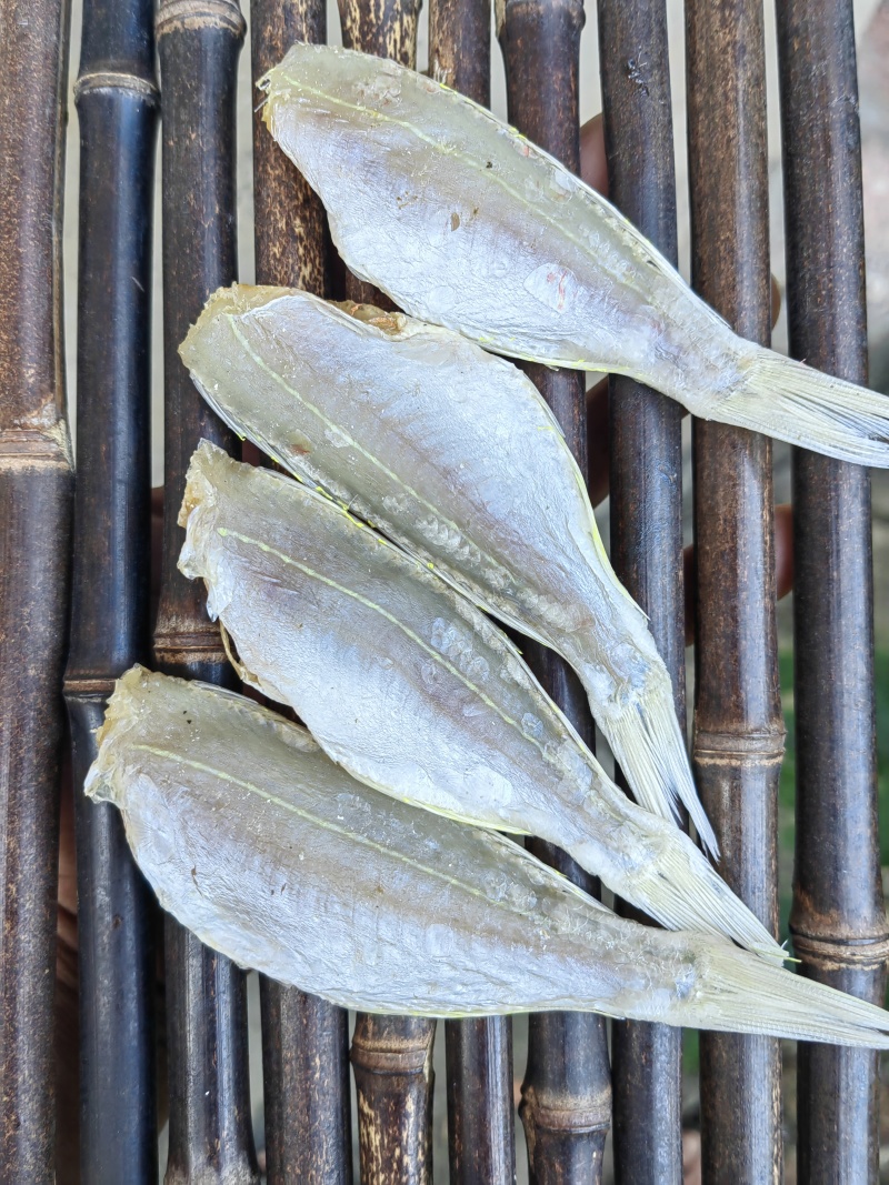 金丝红杉鱼金线红杉咸鱼干