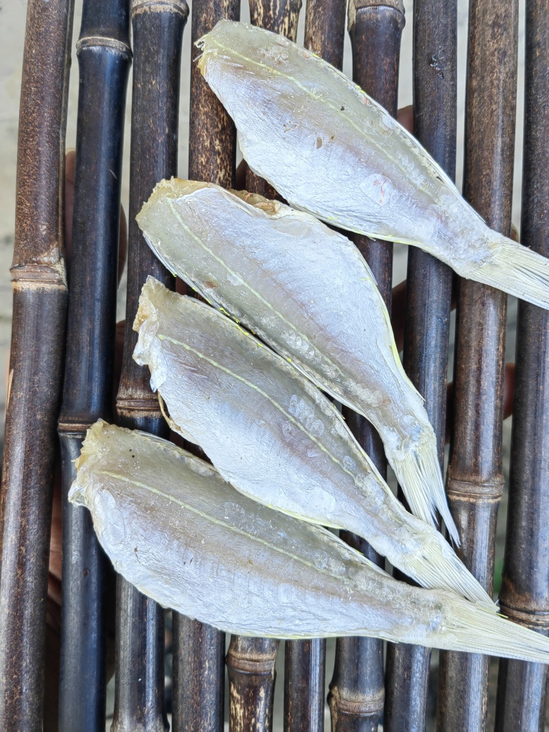 金丝红杉鱼金线红杉咸鱼干