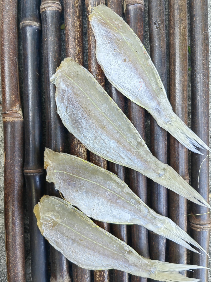 金丝红杉鱼金线红杉咸鱼干