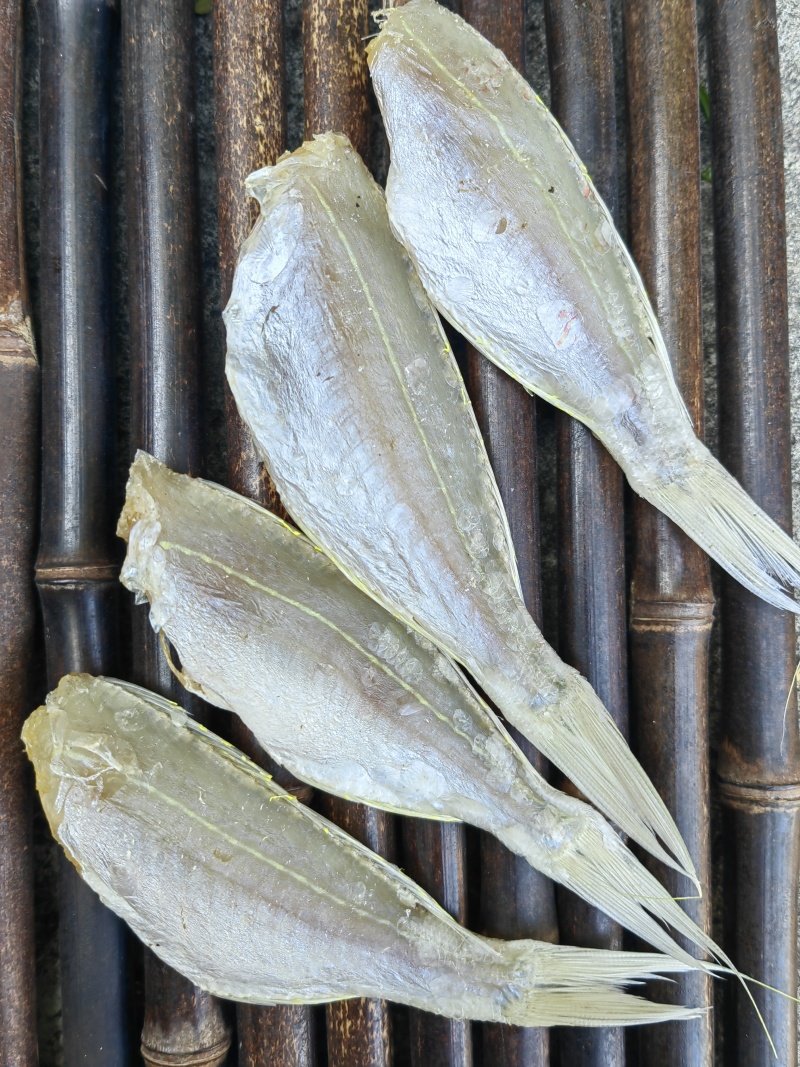金丝红杉鱼金线红杉咸鱼干