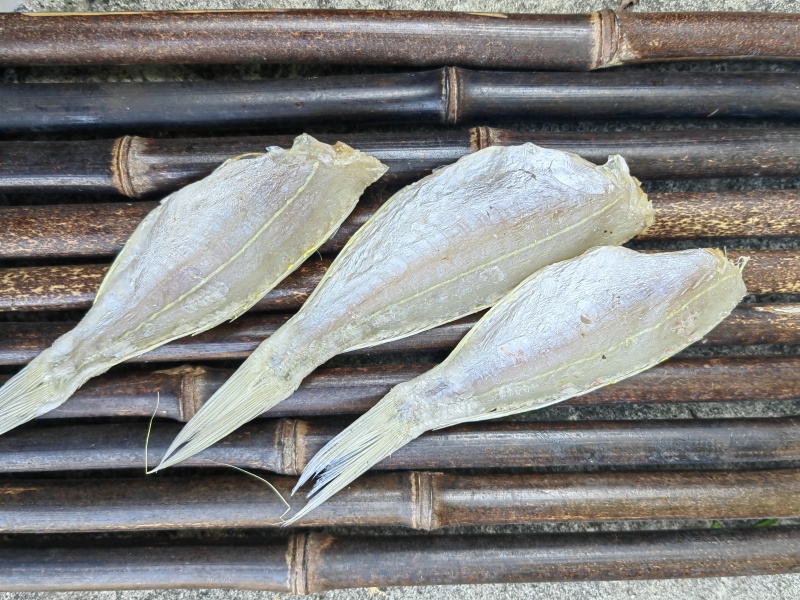 金丝红杉鱼金线红杉咸鱼干