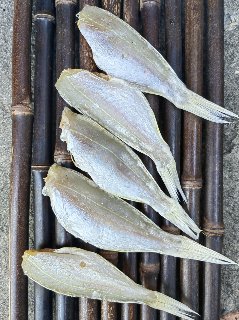 金丝红杉鱼金线红杉咸鱼干