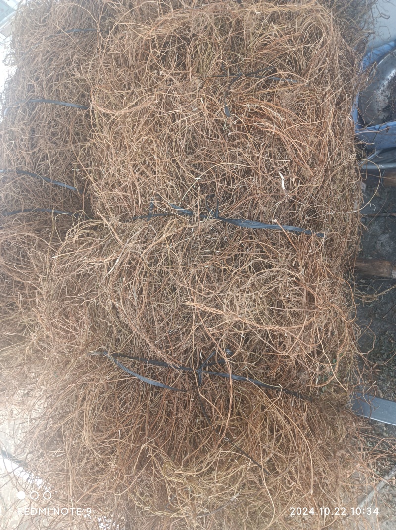 光杆鸡骨草无硫纯晒干鸡骨草当季新品鸡骨草