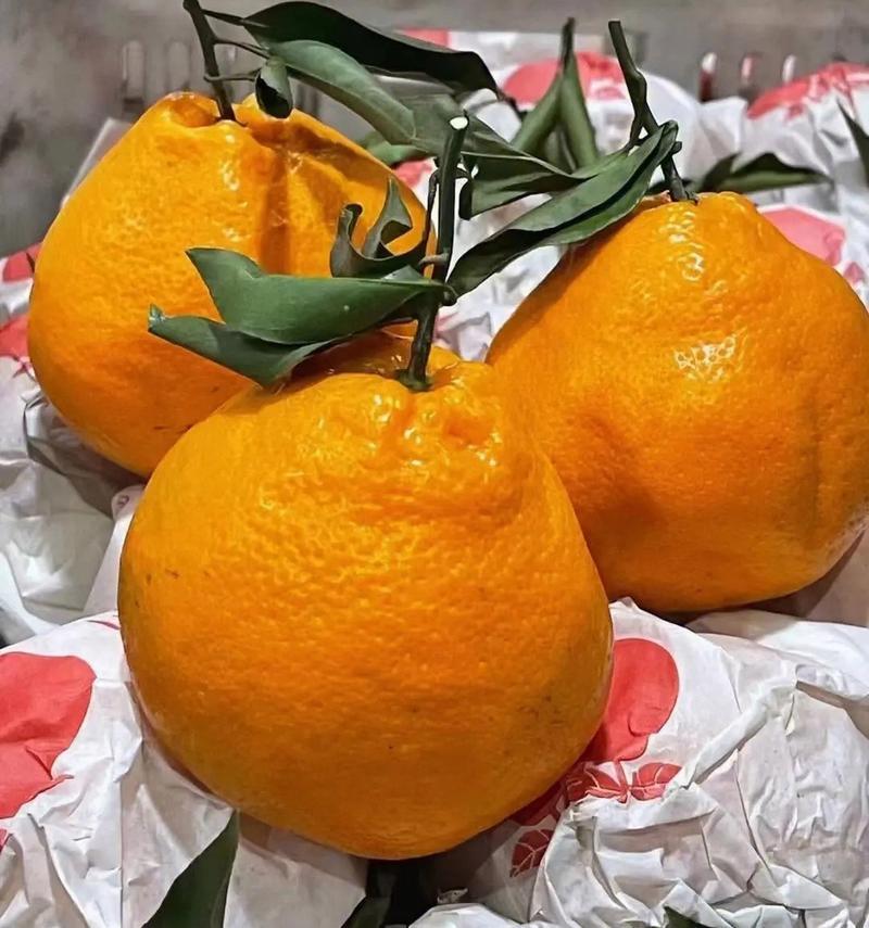 耙耙柑纯甜无酸