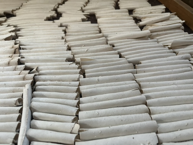 茯苓卷特心丁中心丁茯神厂家批发货量充足欢迎咨询