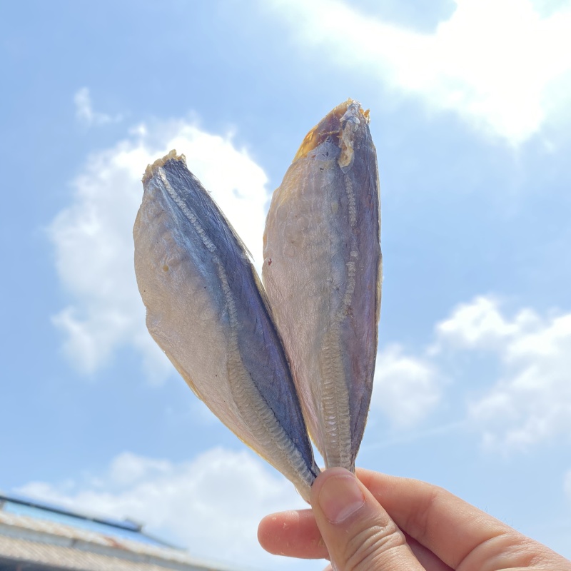 巴浪鱼咸鱼干