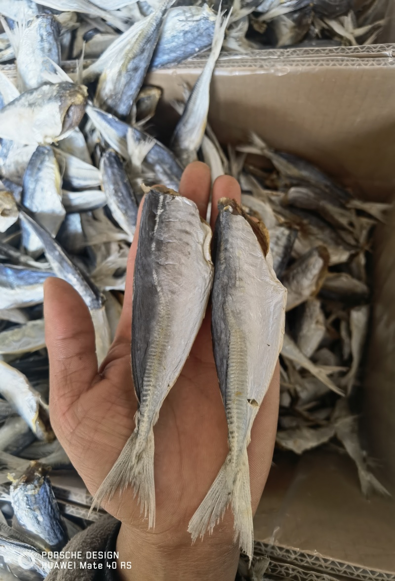 巴浪鱼咸鱼干