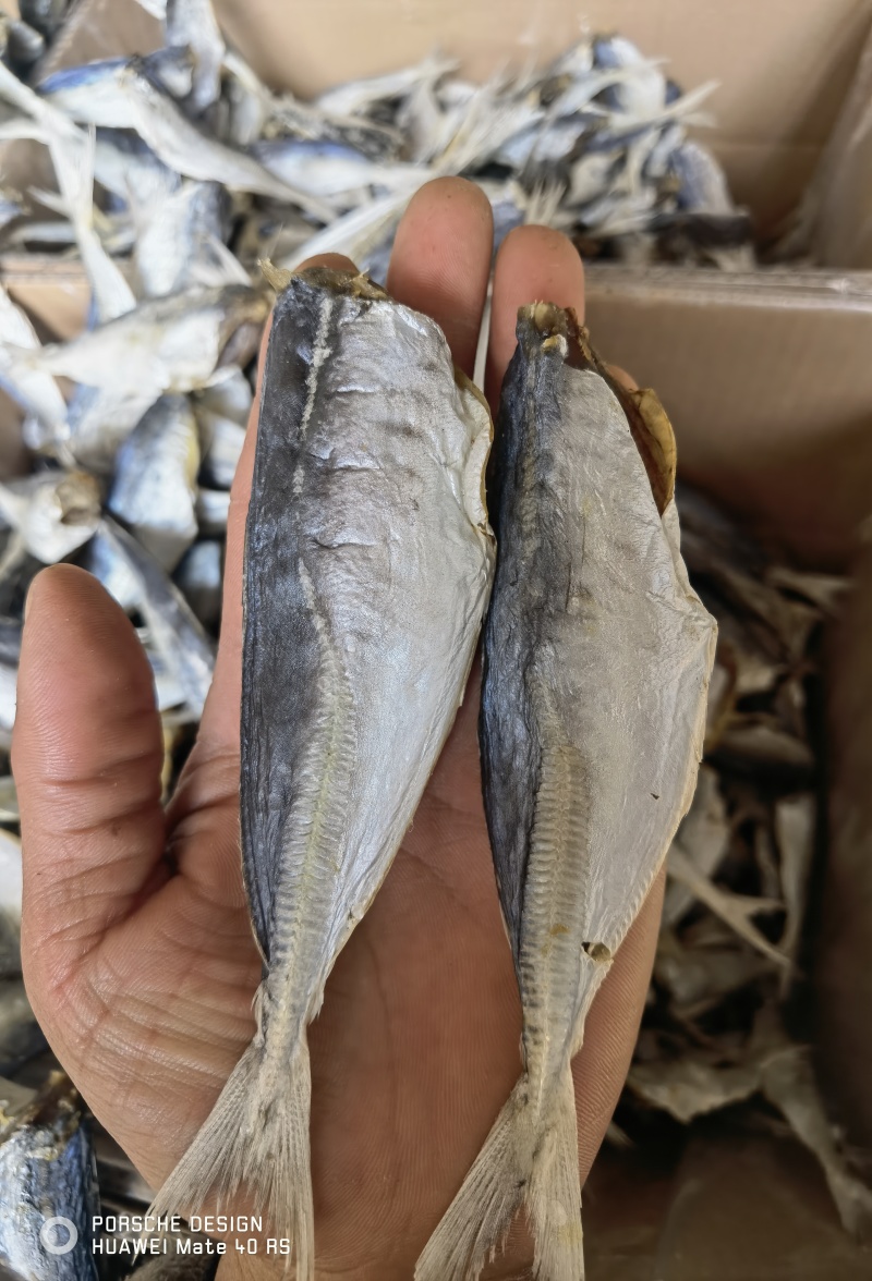 巴浪鱼咸鱼干