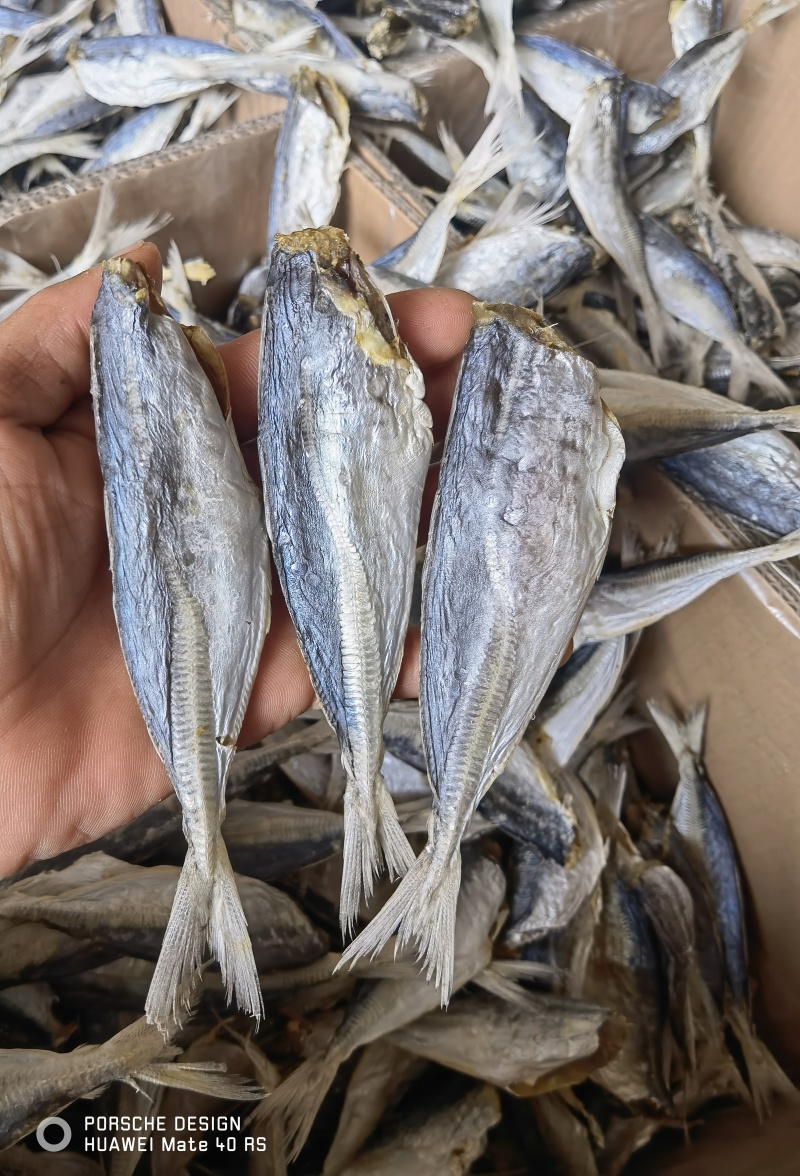 巴浪鱼咸鱼干
