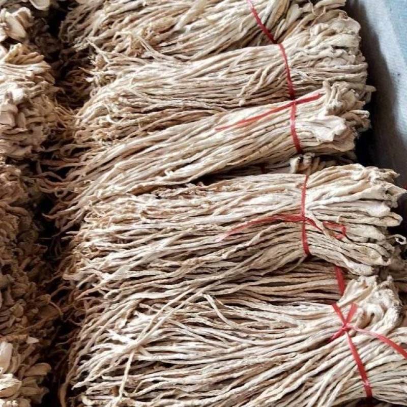 大根萝卜条产地直发，条质量好，货源充足谁买与我联系！，