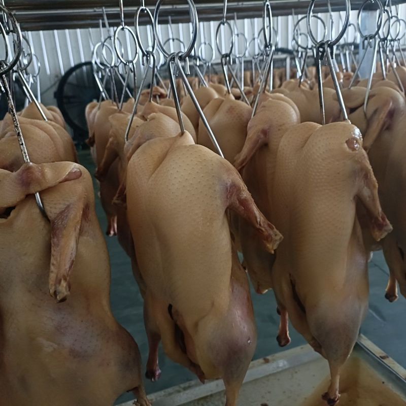 白条鸭，鸭架子，