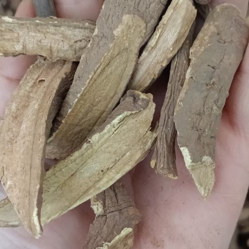 土大黄代抓配方需要的老板联系我