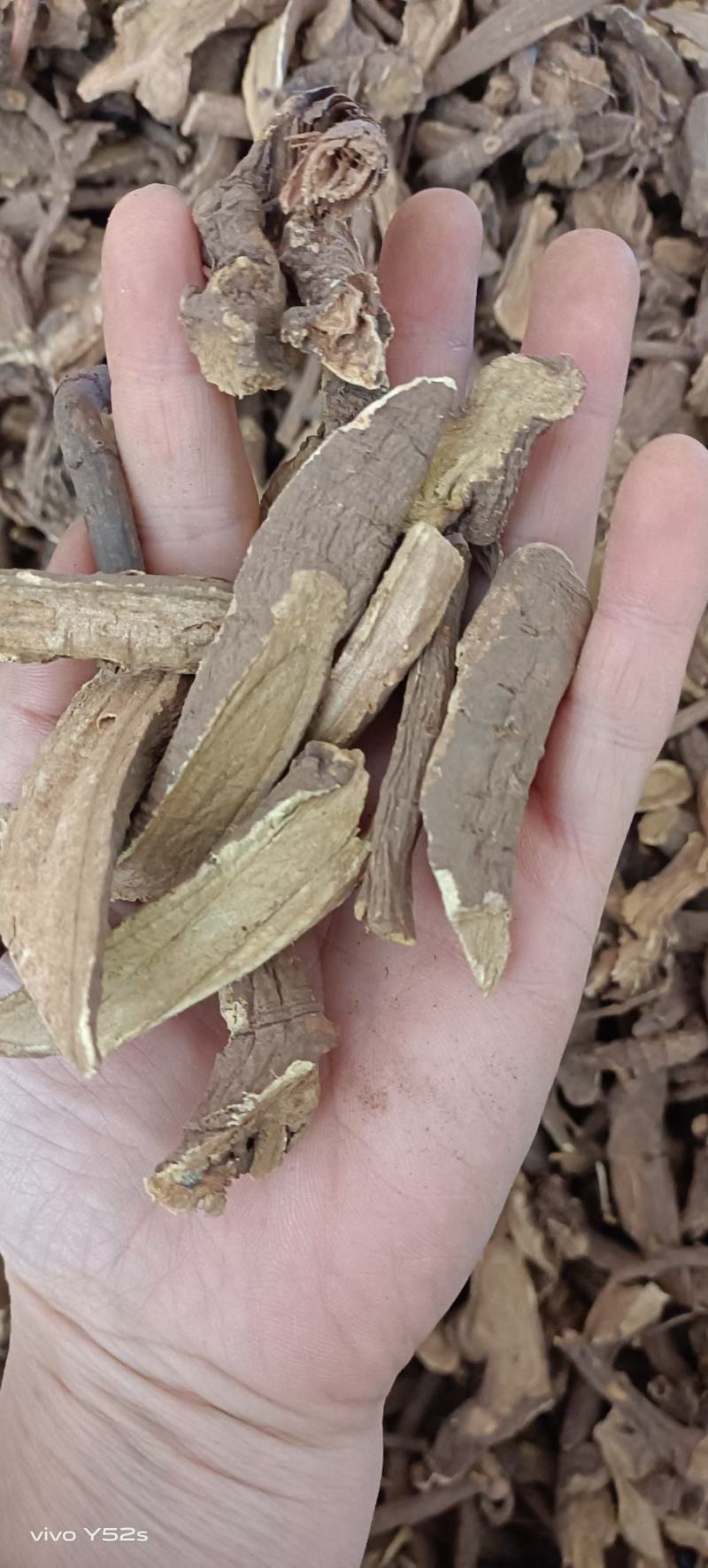 土大黄代抓配方需要的老板联系我
