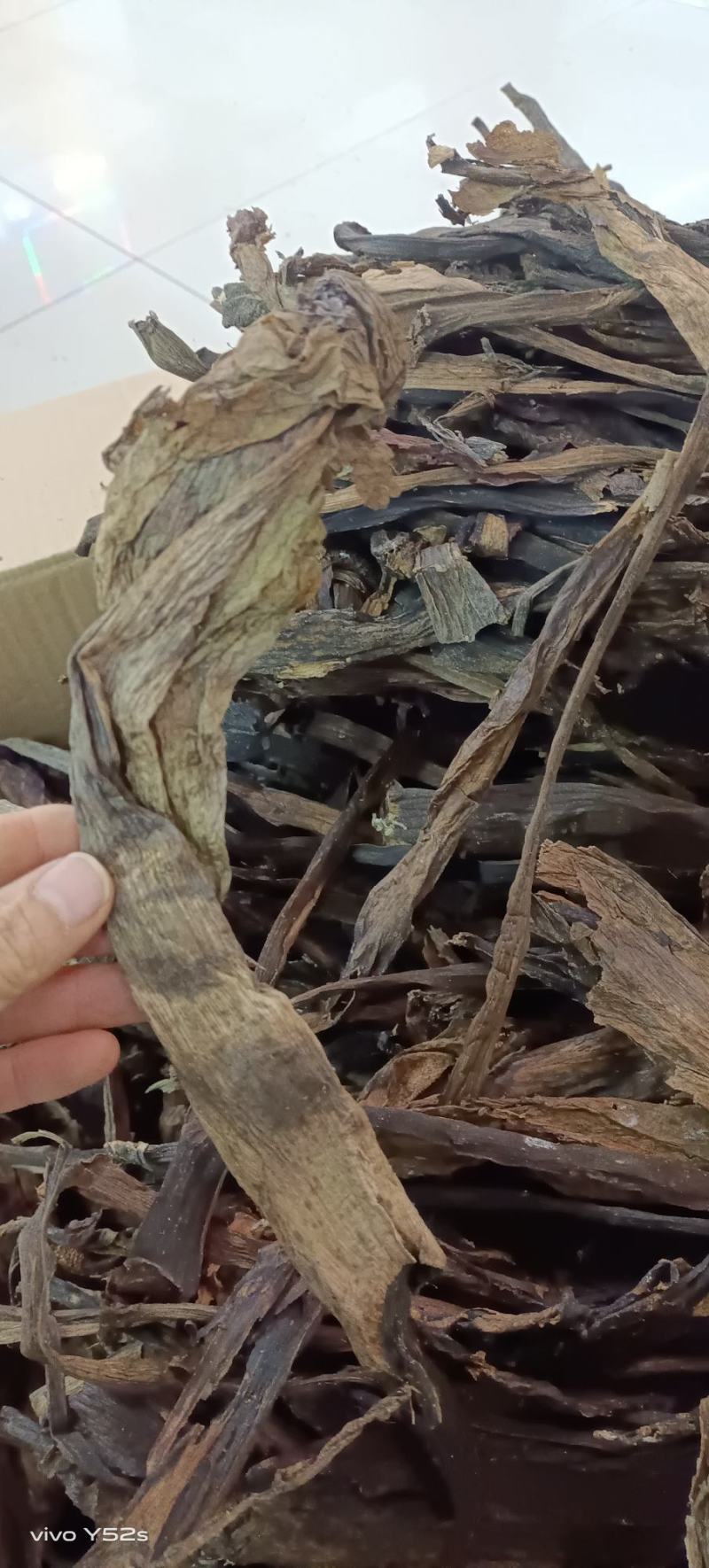 魔芋花各种中药材冷背药材名贵药材多种药材搭配批发