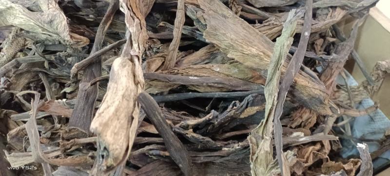 魔芋花各种中药材冷背药材名贵药材多种药材搭配批发