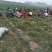 万亩洋葱苗育苗基地“白露”后育苗，可以提供种植技术。